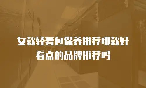 女款轻奢包保养推荐哪款好看点的品牌推荐吗