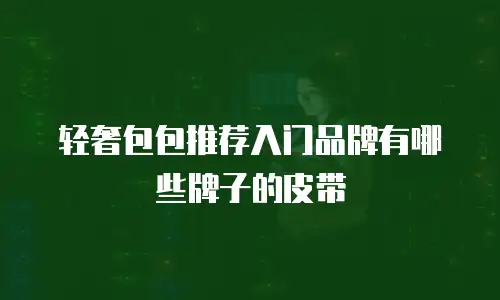 轻奢包包推荐入门品牌有哪些牌子的皮带