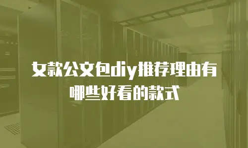 女款公文包diy推荐理由有哪些好看的款式