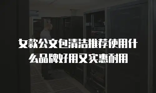女款公文包清洁推荐使用什么品牌好用又实惠耐用
