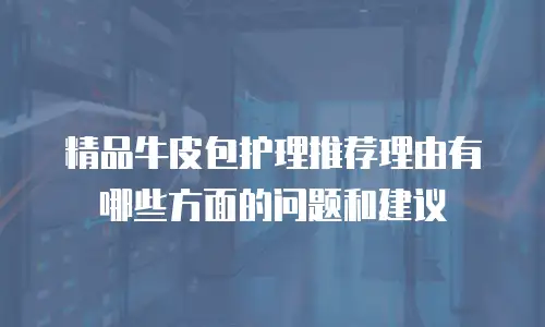 精品牛皮包护理推荐理由有哪些方面的问题和建议