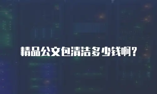 精品公文包清洁多少钱啊？