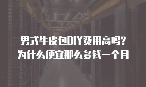 男式牛皮包DIY费用高吗？为什么便宜那么多钱一个月