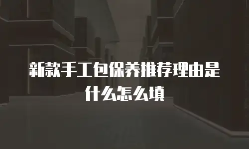 新款手工包保养推荐理由是什么怎么填