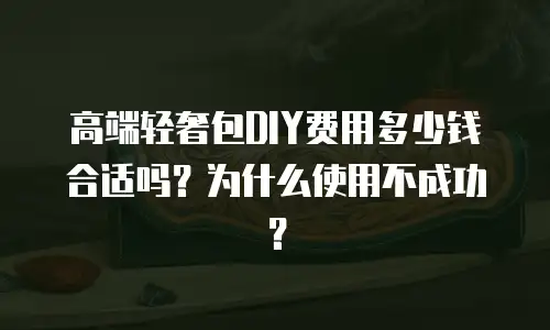 高端轻奢包DIY费用多少钱合适吗？为什么使用不成功？