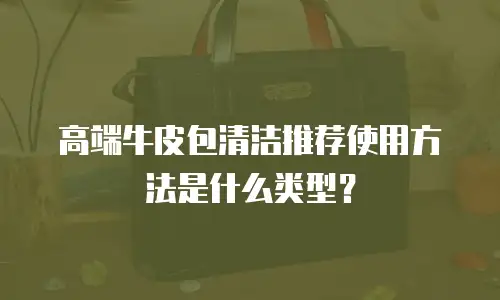 高端牛皮包清洁推荐使用方法是什么类型？