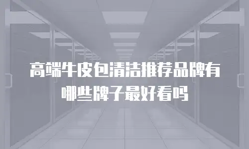 高端牛皮包清洁推荐品牌有哪些牌子最好看吗