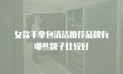 女款手拿包清洁推荐品牌有哪些牌子比较好