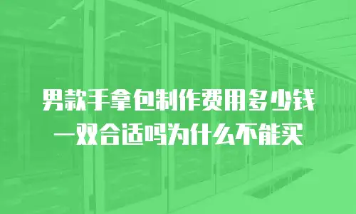 男款手拿包制作费用多少钱一双合适吗为什么不能买