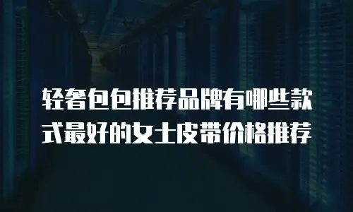 轻奢包包推荐品牌有哪些款式最好的女士皮带价格推荐