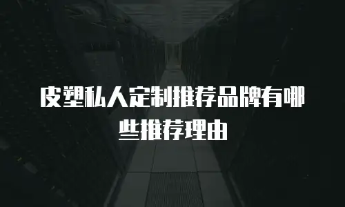 皮塑私人定制推荐品牌有哪些推荐理由