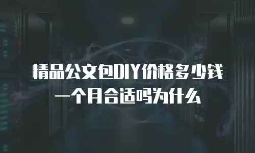 精品公文包DIY价格多少钱一个月合适吗为什么