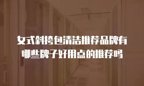 女式斜挎包清洁推荐品牌有哪些牌子好用点的推荐吗
