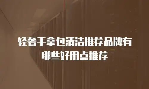 轻奢手拿包清洁推荐品牌有哪些好用点推荐