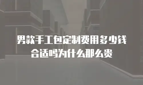 男款手工包定制费用多少钱合适吗为什么那么贵