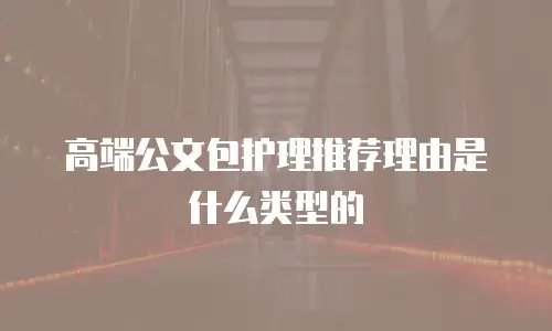 高端公文包护理推荐理由是什么类型的