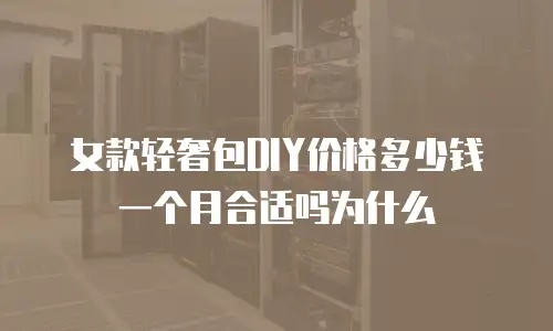 女款轻奢包DIY价格多少钱一个月合适吗为什么