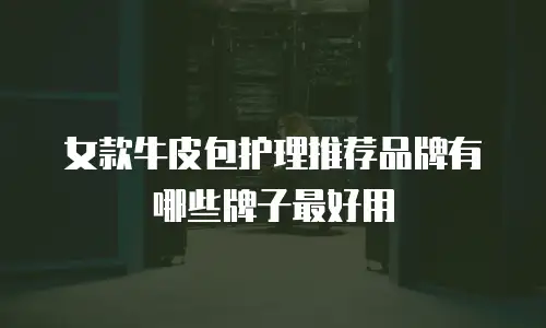 女款牛皮包护理推荐品牌有哪些牌子最好用