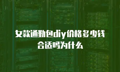 女款通勤包diy价格多少钱合适吗为什么