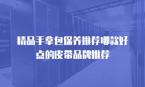 精品手拿包保养推荐哪款好点的皮带品牌推荐