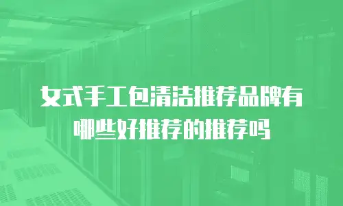 女式手工包清洁推荐品牌有哪些好推荐的推荐吗