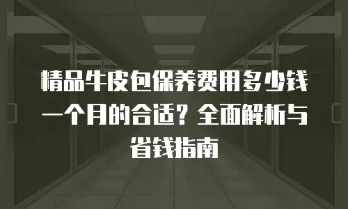 精品牛皮包保养费用多少钱一个月的合适？全面解析与省钱指南