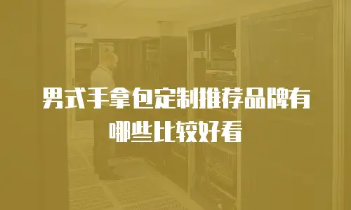 男式手拿包定制推荐品牌有哪些比较好看