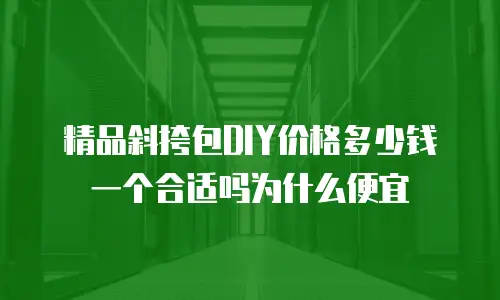 精品斜挎包DIY价格多少钱一个合适吗为什么便宜