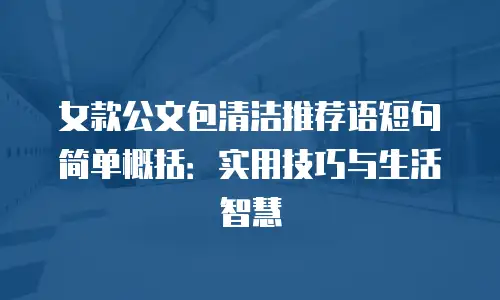 女款公文包清洁推荐语短句简单概括：实用技巧与生活智慧