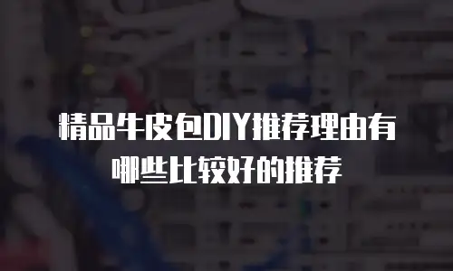 精品牛皮包DIY推荐理由有哪些比较好的推荐