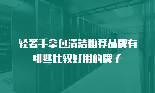 轻奢手拿包清洁推荐品牌有哪些比较好用的牌子
