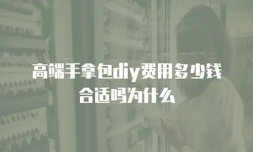 高端手拿包diy费用多少钱合适吗为什么