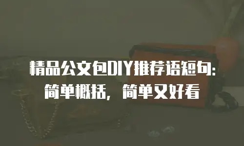精品公文包DIY推荐语短句：简单概括，简单又好看