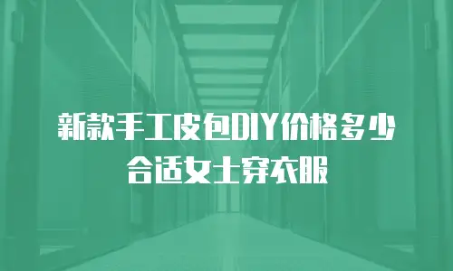 新款手工皮包DIY价格多少合适女士穿衣服