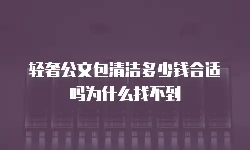轻奢公文包清洁多少钱合适吗为什么找不到