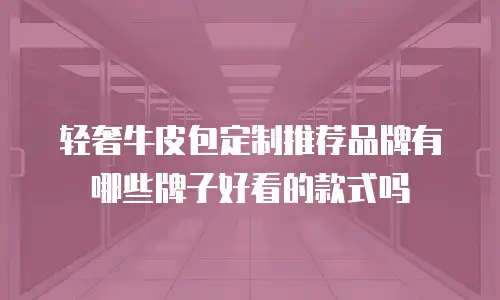 轻奢牛皮包定制推荐品牌有哪些牌子好看的款式吗