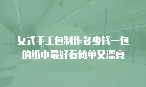 女式手工包制作多少钱一包的纸巾最好看简单又漂亮