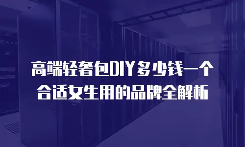 高端轻奢包DIY多少钱一个合适女生用的品牌全解析