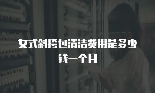 女式斜挎包清洁费用是多少钱一个月
