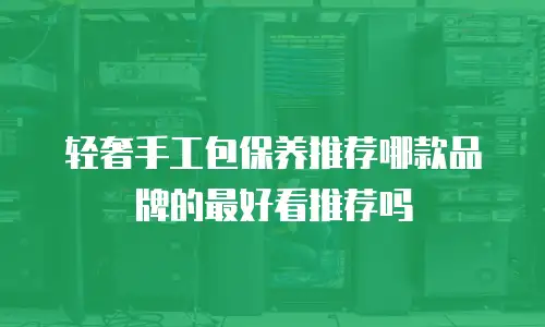 轻奢手工包保养推荐哪款品牌的最好看推荐吗