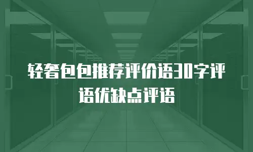 轻奢包包推荐评价语30字评语优缺点评语