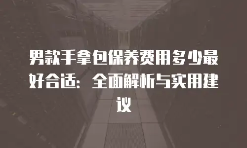 男款手拿包保养费用多少最好合适：全面解析与实用建议