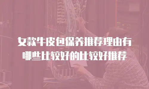 女款牛皮包保养推荐理由有哪些比较好的比较好推荐