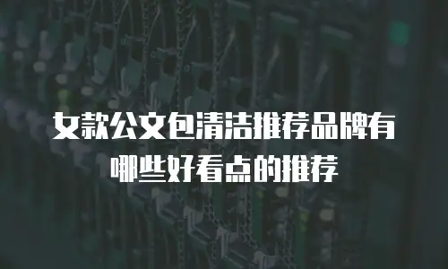 女款公文包清洁推荐品牌有哪些好看点的推荐