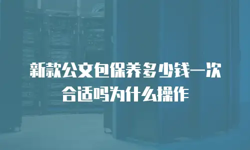 新款公文包保养多少钱一次合适吗为什么操作