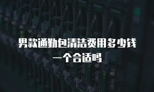 男款通勤包清洁费用多少钱一个合适吗