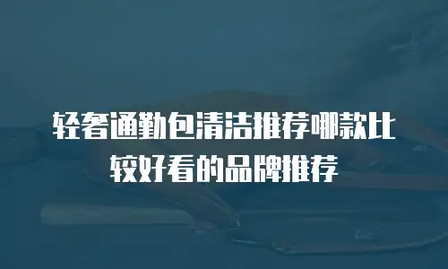 轻奢通勤包清洁推荐哪款比较好看的品牌推荐