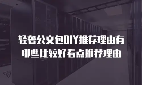 轻奢公文包DIY推荐理由有哪些比较好看点推荐理由