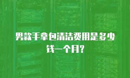 男款手拿包清洁费用是多少钱一个月？