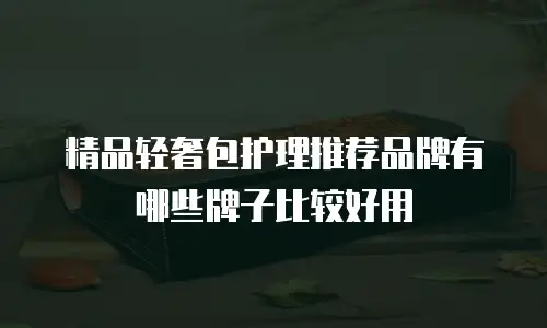 精品轻奢包护理推荐品牌有哪些牌子比较好用